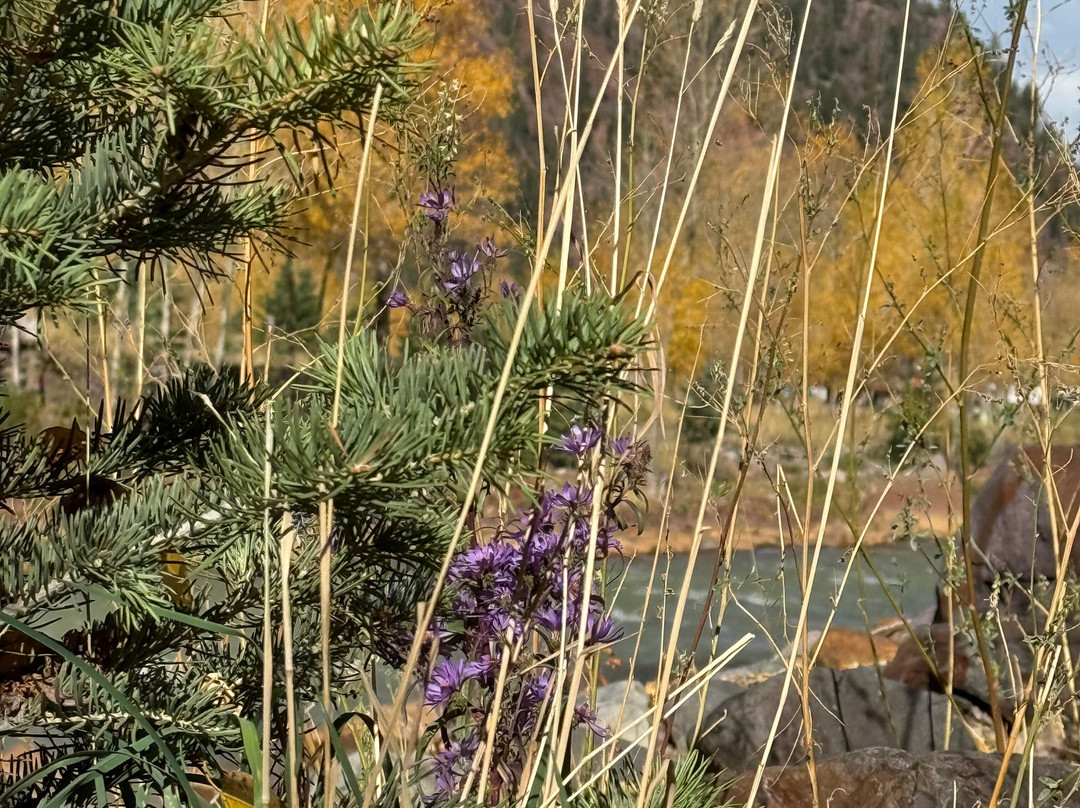 Hot Springs Inn主图