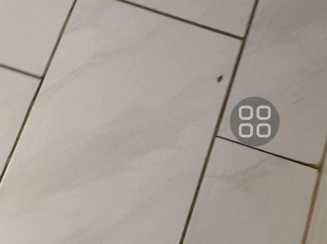 玛丽安娜旅馆&套房酒店主图