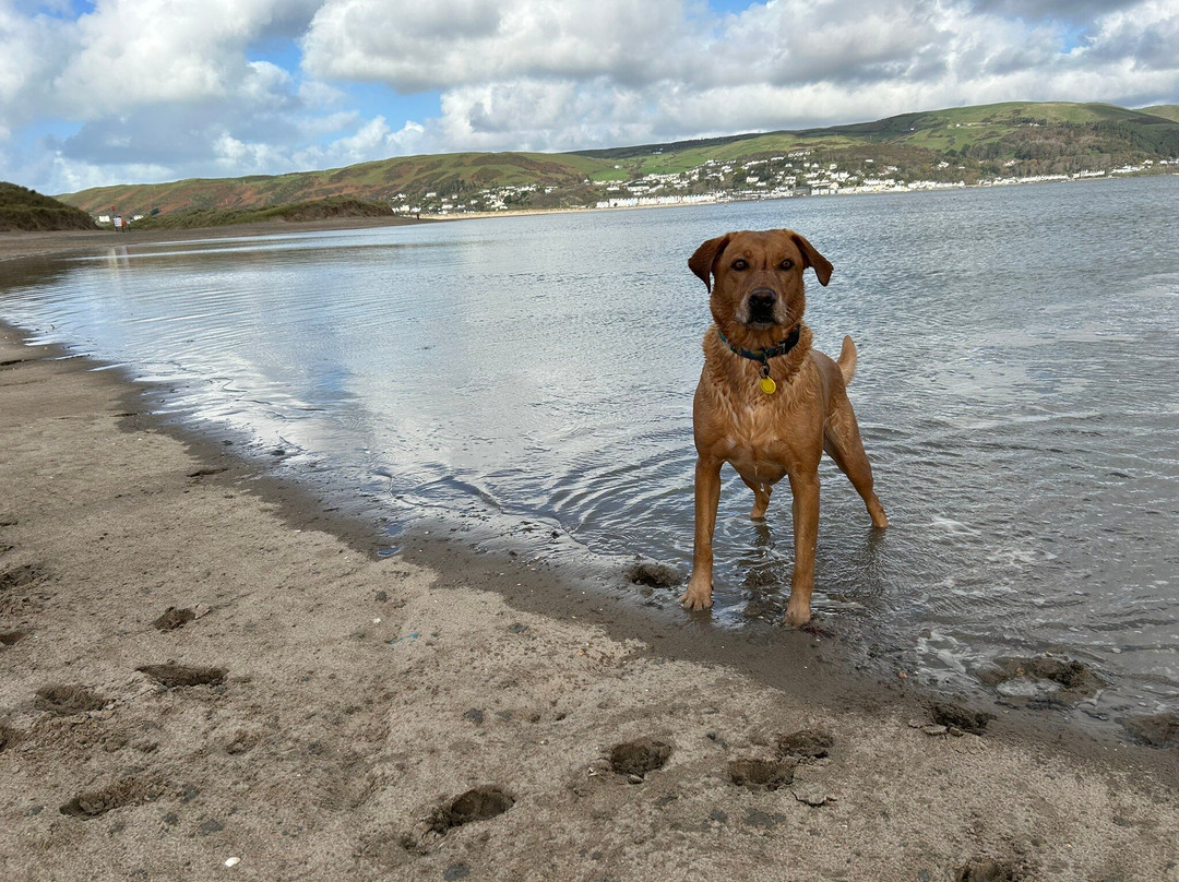 Ynyslas National Nature Reserve-Borth必去景点