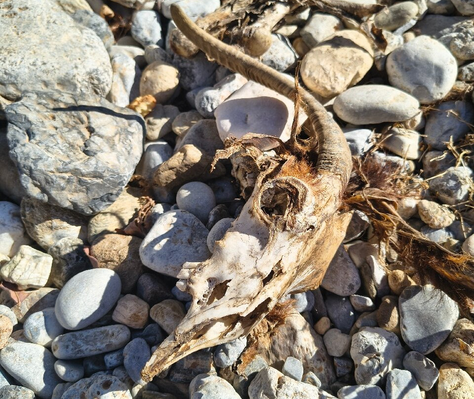 Aposelemis canyon-Analipsi必去景点