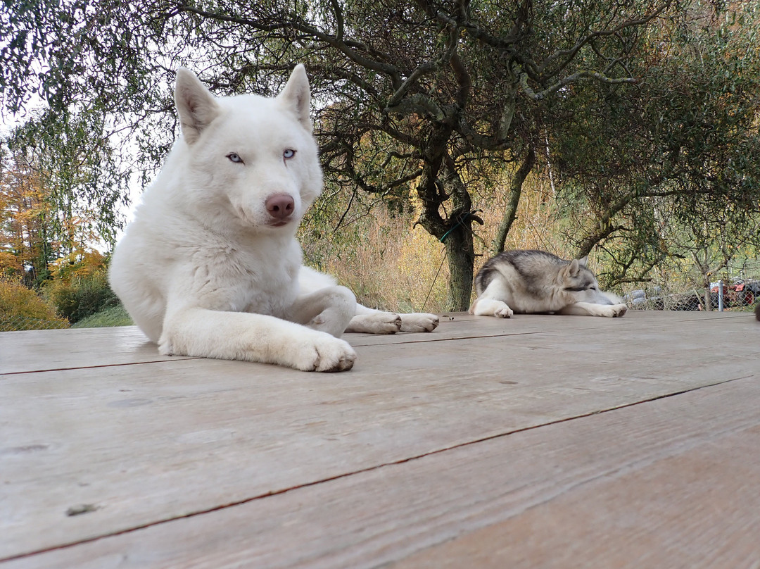 Fischer Adventures Day Tours-圣加仑必去景点
