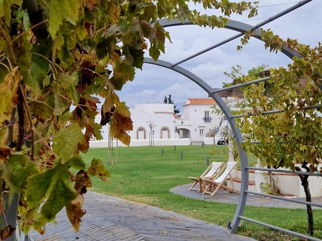 Quinta do Paral - The Wine Hotel