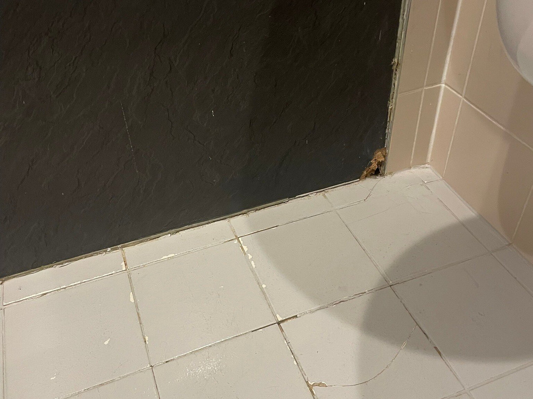 Maldron Hotel Tallaght主图