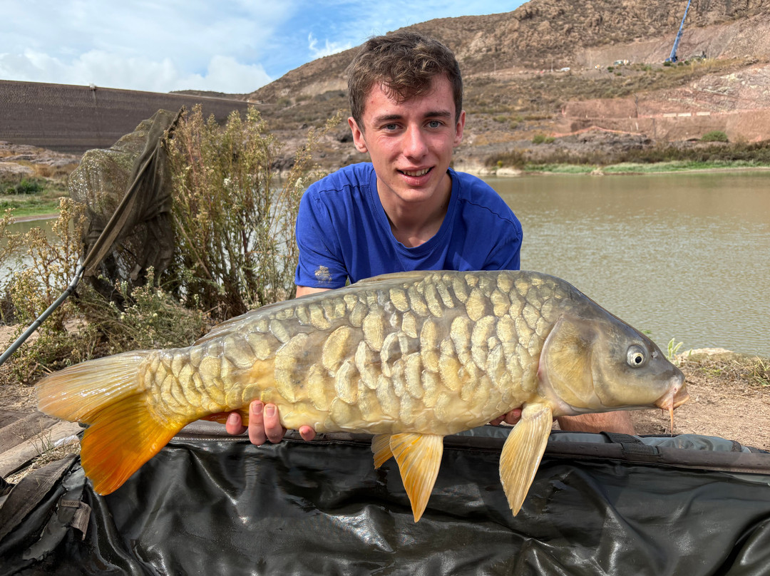 Carp Gran Canaria-San Bartolome de Tirajana必去景点