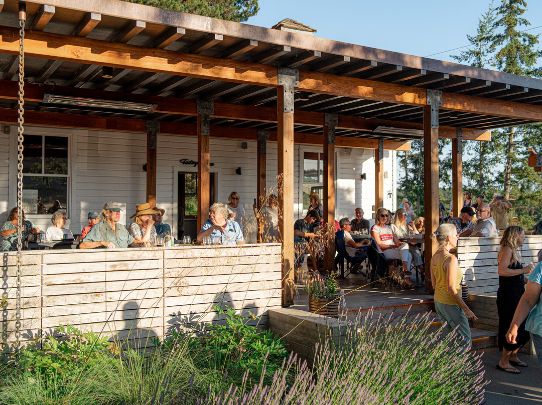 San Juan Vineyard-星期五港湾必去景点