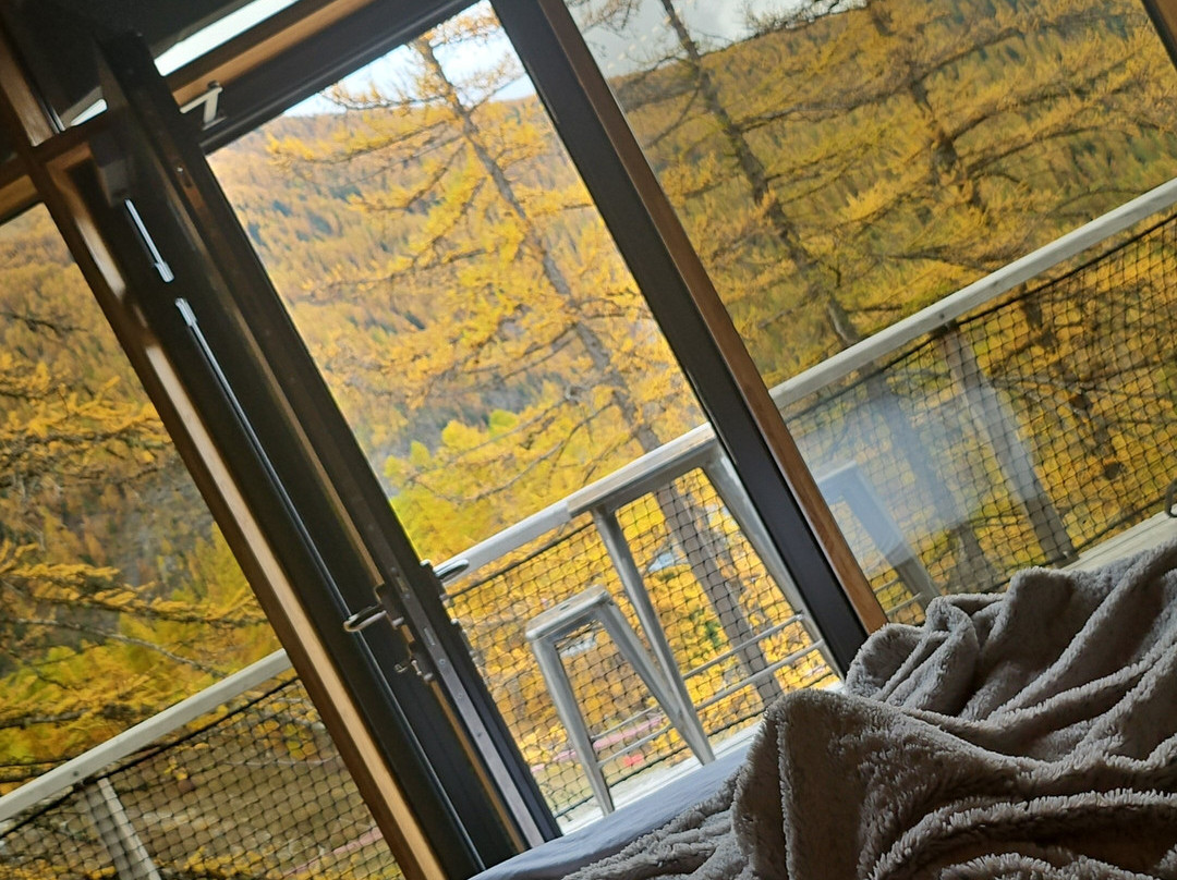 Alpin D’Hôme主图