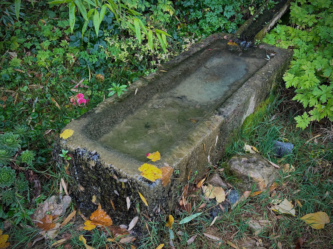 Champagne Monial-Colombe-le-Sec必去景点