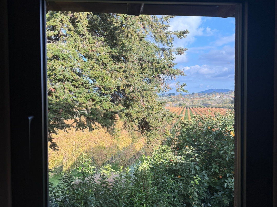 Dimora Cottanera主图