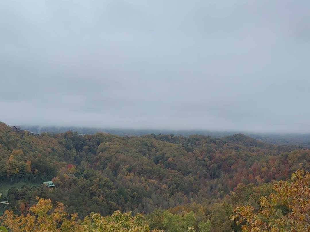 Smoky Mountain Ziplines-皮金福奇必去景点