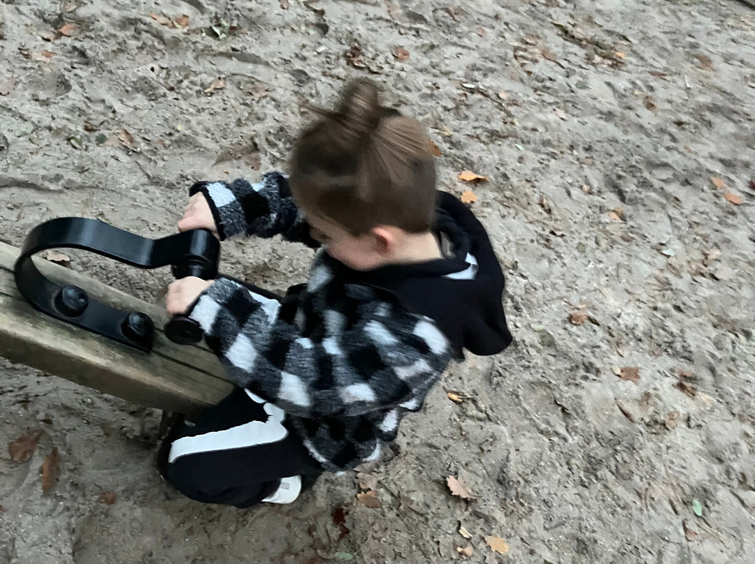 Stadswandelpark-埃因霍温必去景点