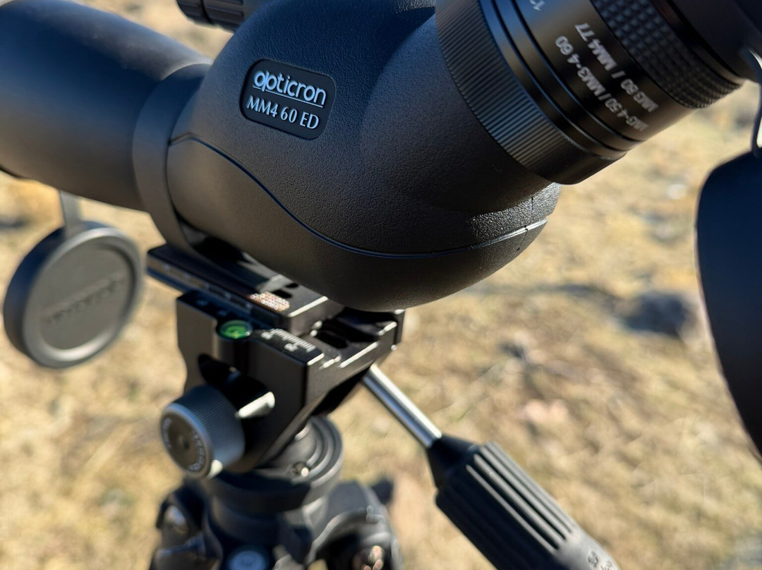 Yellowstone Wolf Tracker-加德纳必去景点