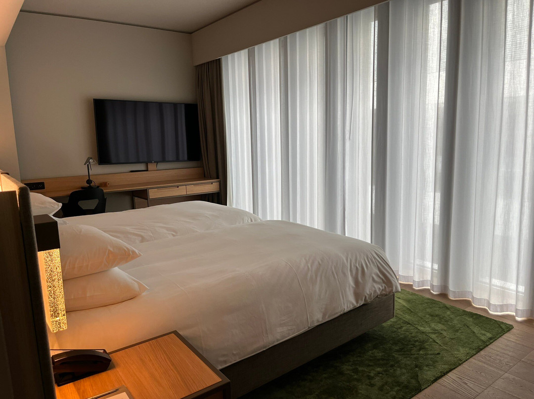 Hyatt Regency Zurich Airport The Circle主图