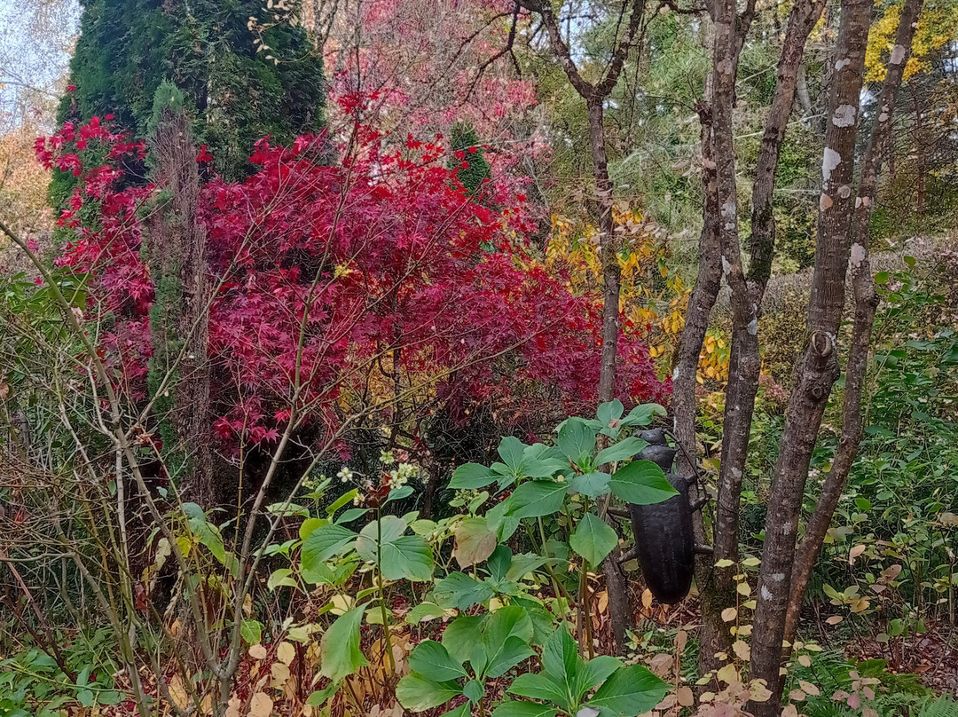 Jardin d'Atmosphere du Petit Bordeaux-罗亚尔河大区必去景点
