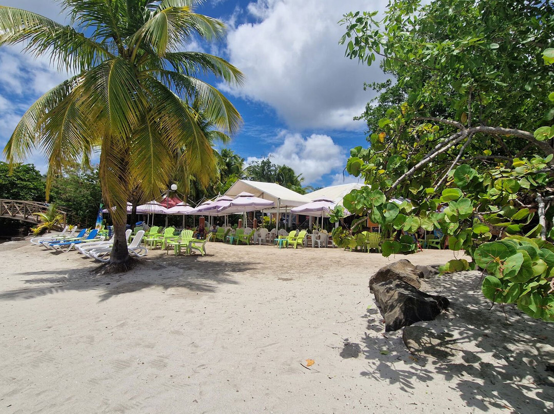 les Bungalows Gourmands
