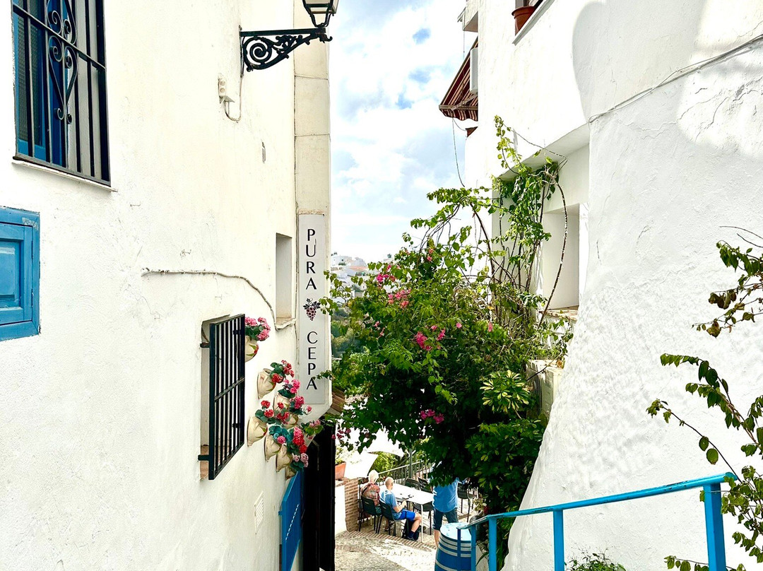 Centro Urbano De Frigiliana.-弗里希利亚纳必去景点