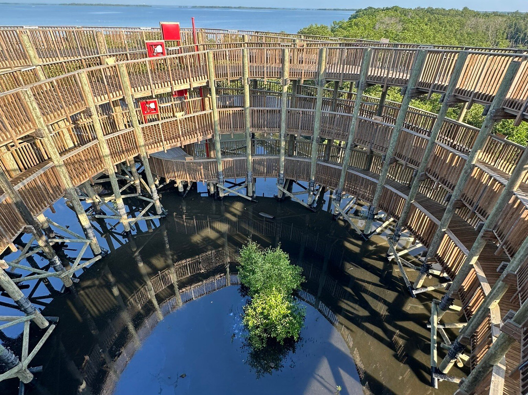 Ecoparque Ciénaga De Mallorquín-Barranquilla必去景点