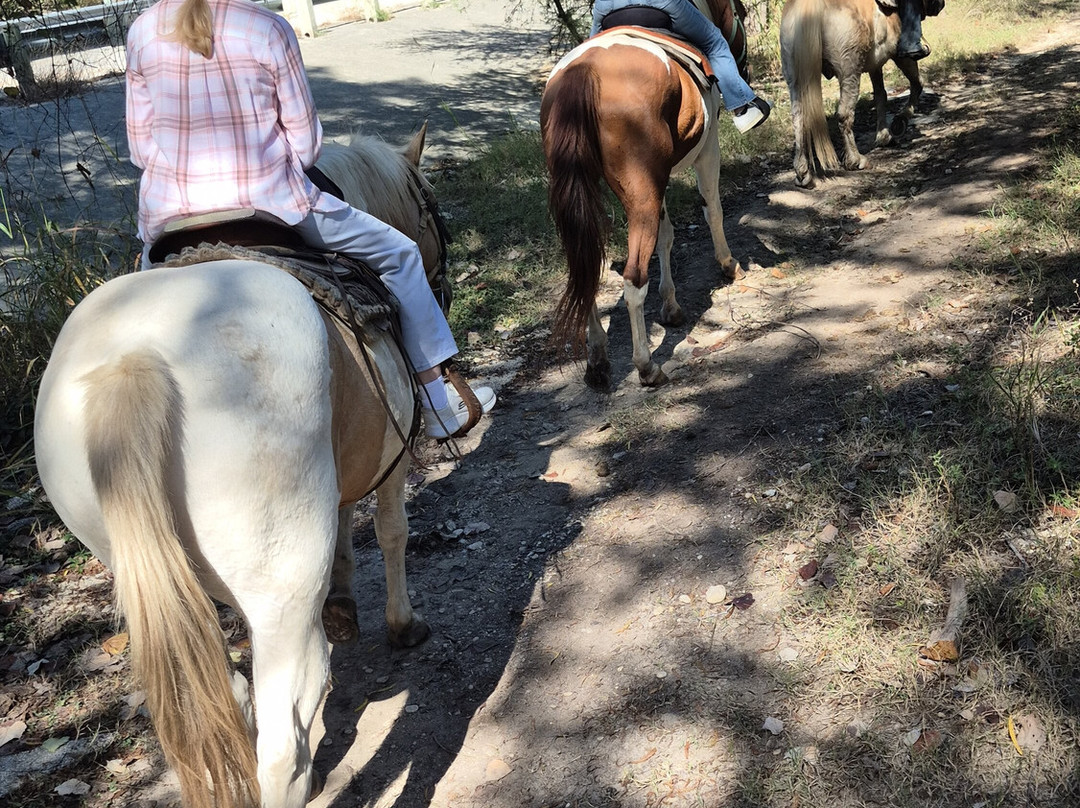 OUTLAW OUTFITTERS Horseback Adventures-Bandera必去景点