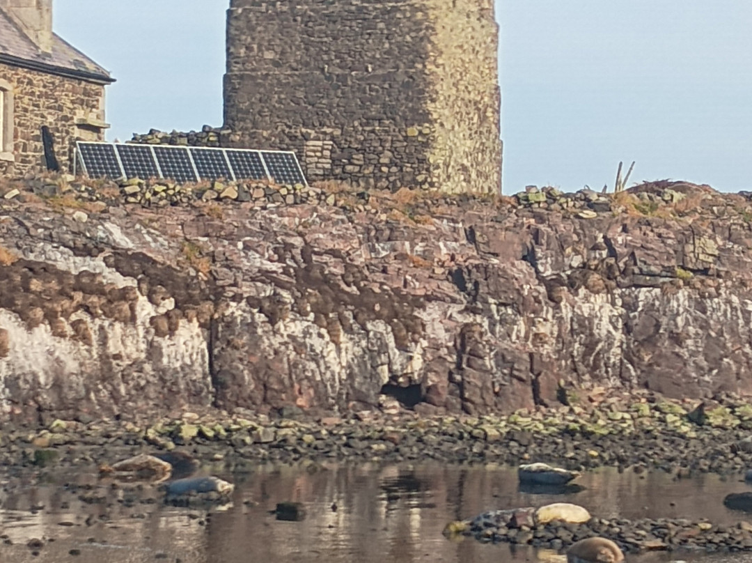 Billy Shiel's Boat Trips-Seahouses必去景点