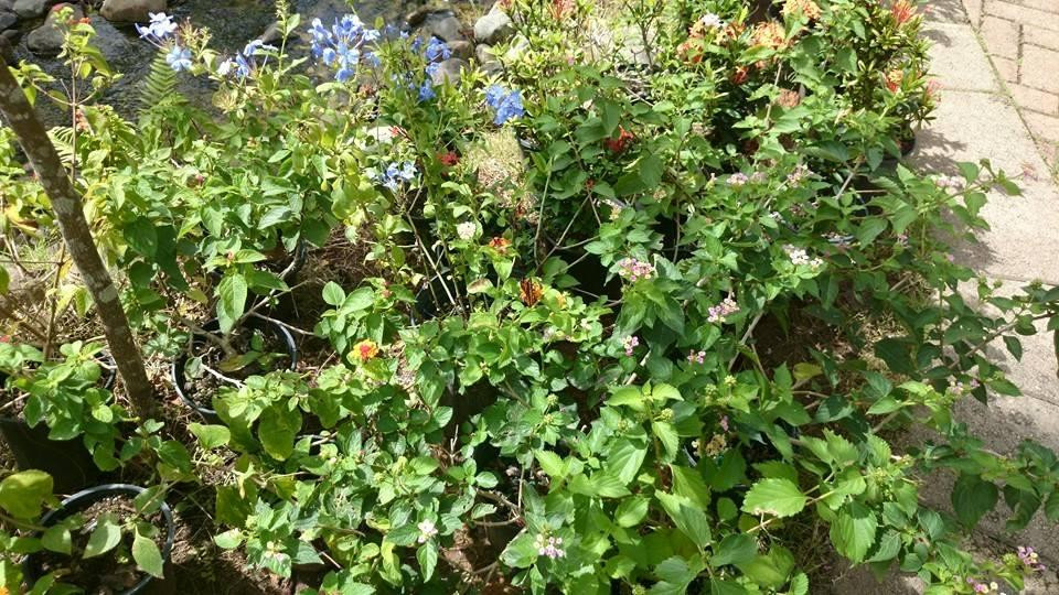 Parque Forestal La Marquesa-Guaynabo必去景点