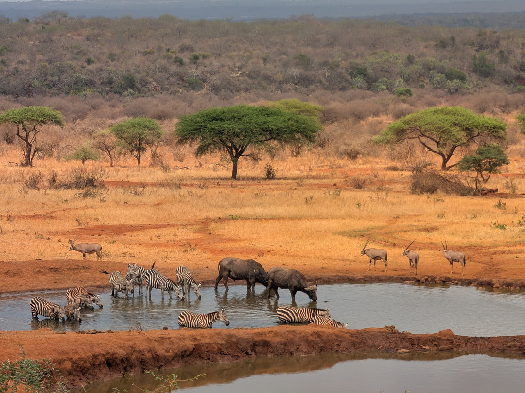 savannah adventures ltd-Mara North Conservancy必去景点