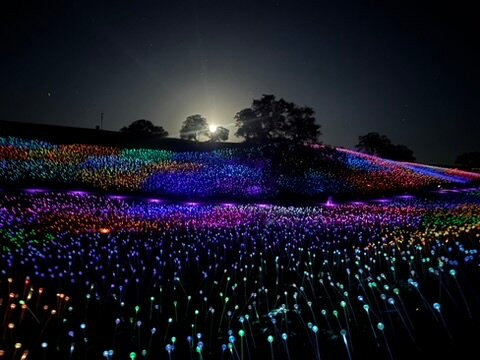 Sensorio-帕索罗布尔斯必去景点