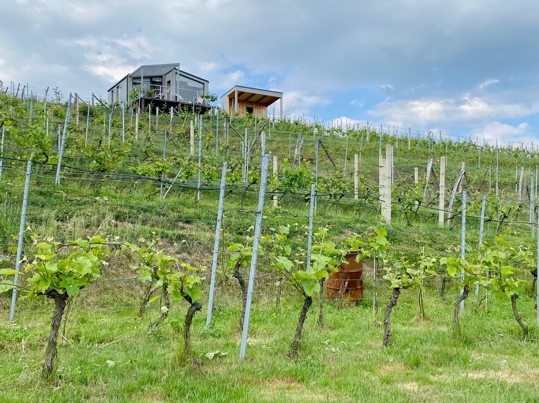 More4u & Poland Tailored Tours4u-波力斯拉韦兹必去景点