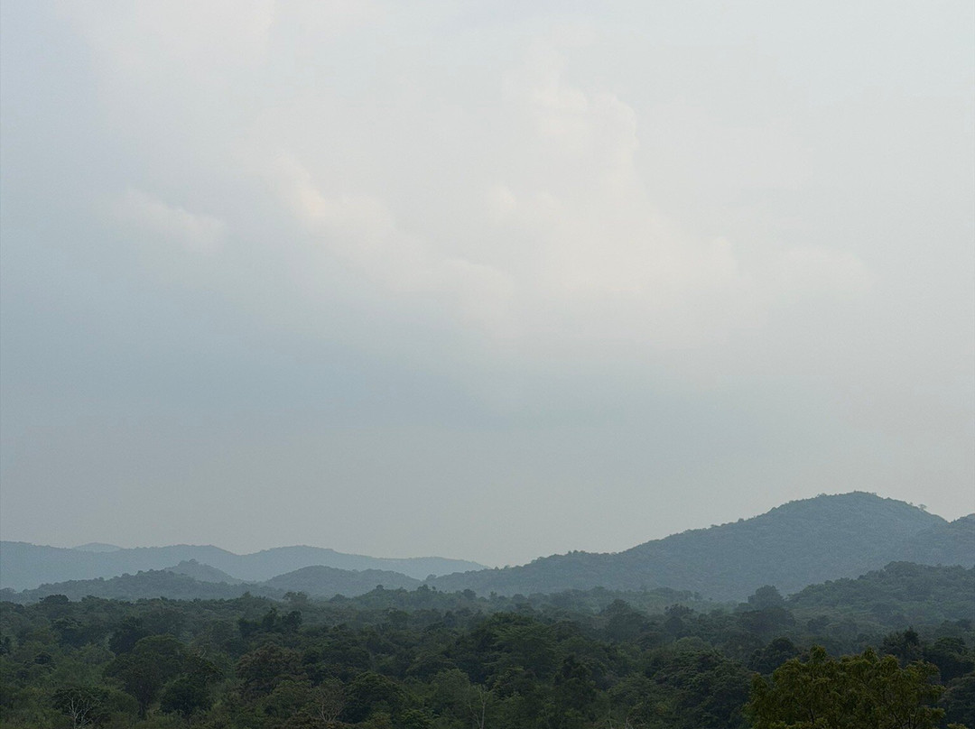 Wild Elephant Safari & Adventures-哈巴拉娜必去景点