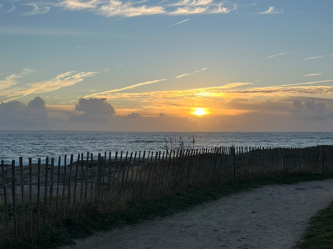 Hôtel La Petite Sirène Quiberon主图