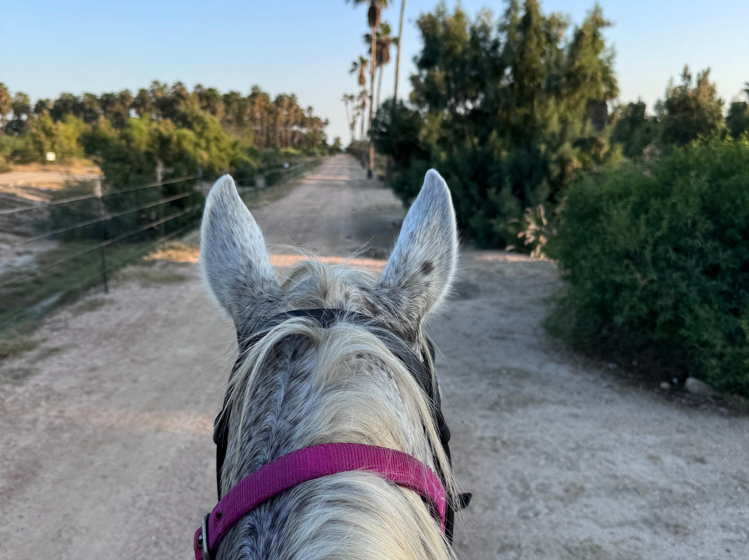 Rancho Animas-Animas Bajas必去景点