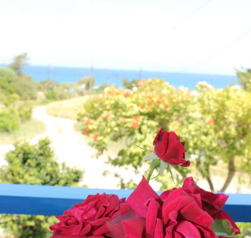 Dimilia酒店住宿-K Farm House