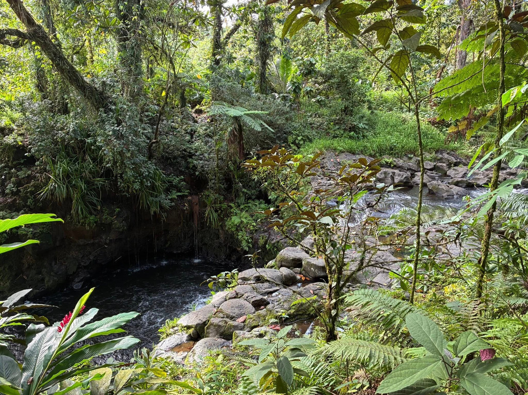 Liduduhniap Falls-朋拜必去景点