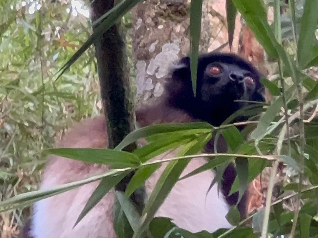 Faniry Madagascar Tours-安塔那那利佛必去景点