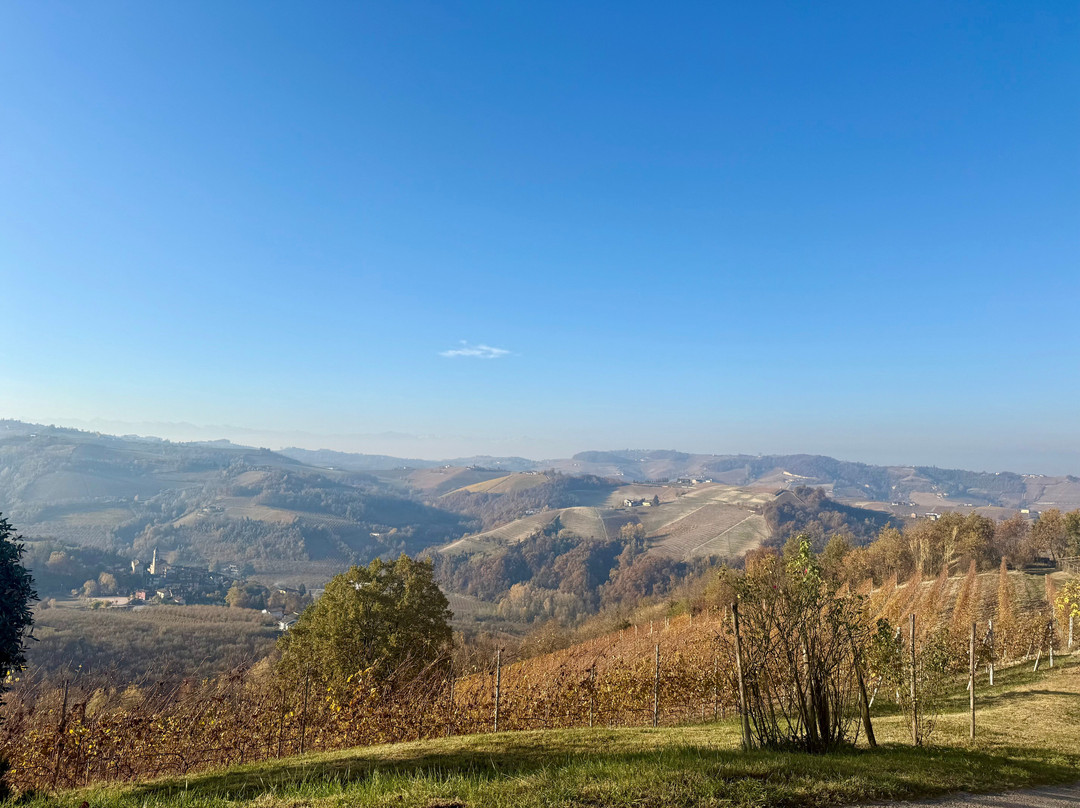 Tenuta Bricchi主图