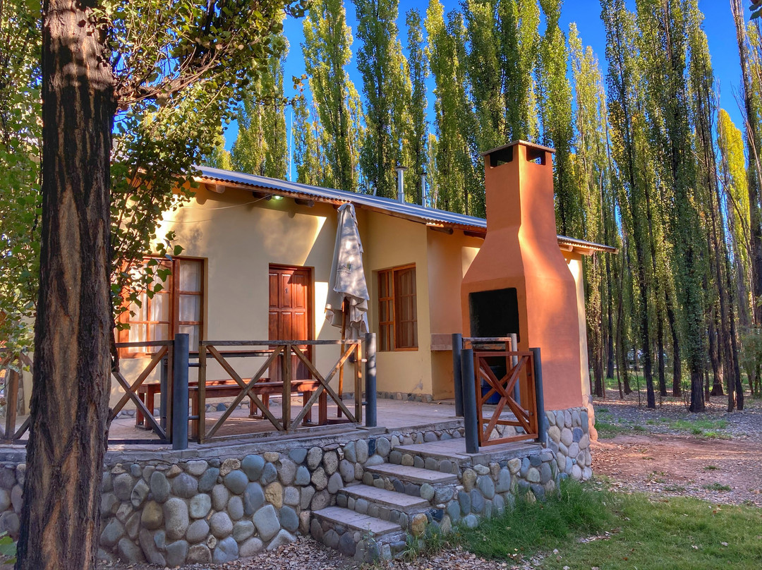 Terrazas En El Bosque Cabañas