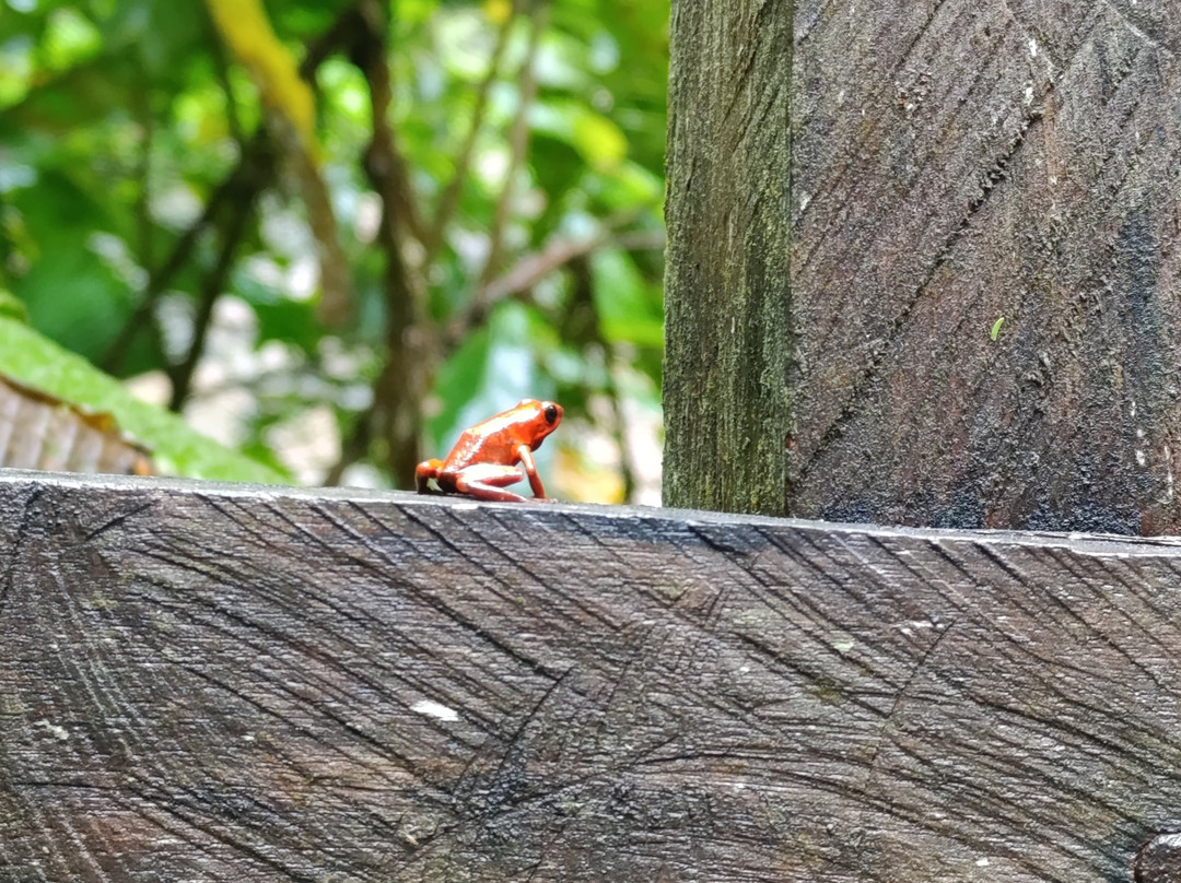 Abel Bustamante - Tour Guide-Manzanillo必去景点