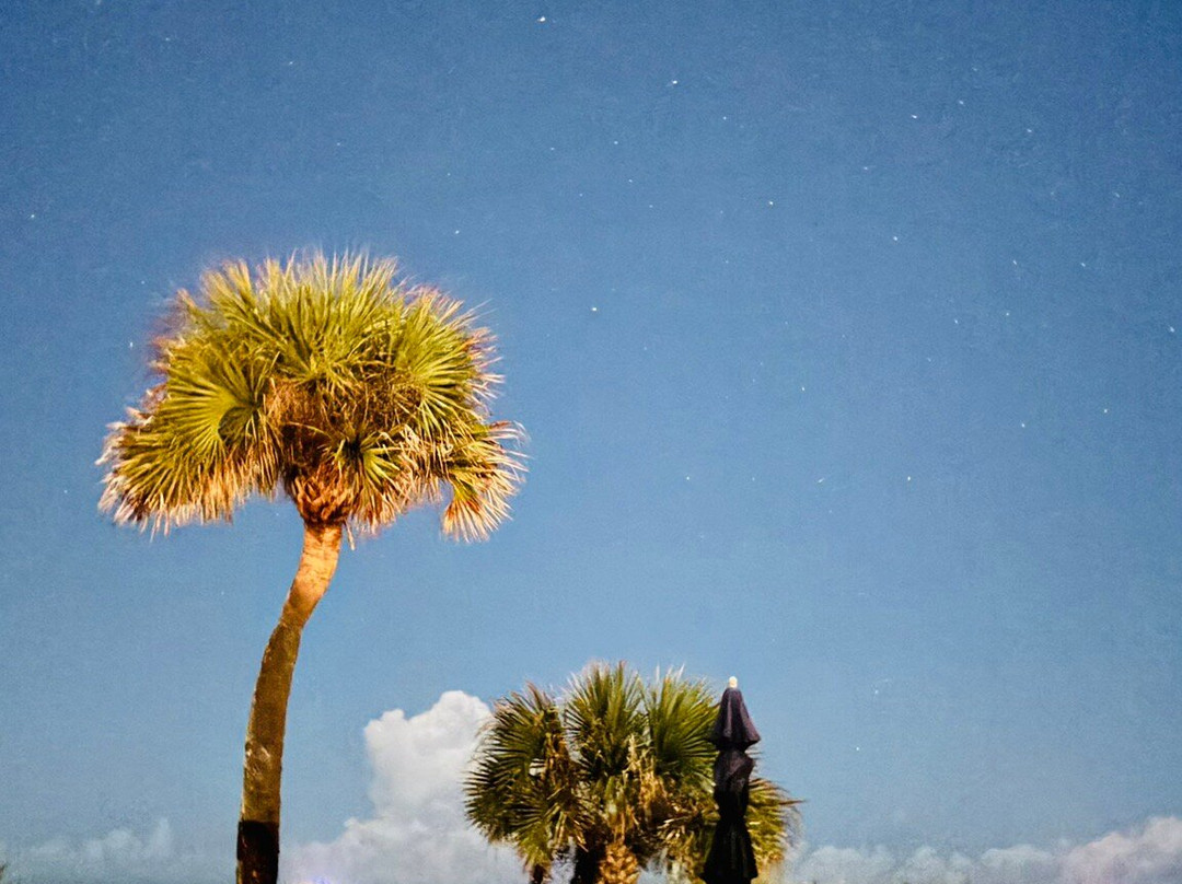 Sea Aire Motel主图