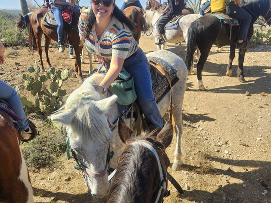 Rockin' Star Ranch-图森必去景点
