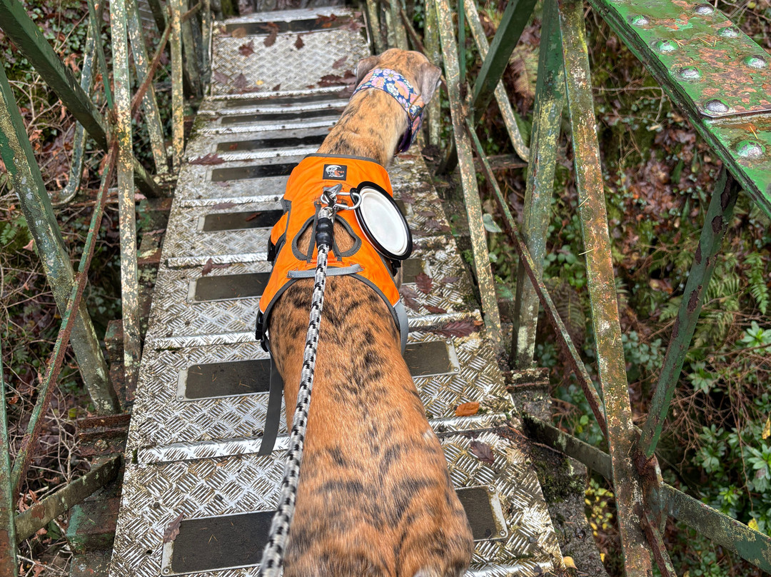 Devil's Bridge Waterfalls-Devil's Bridge (Pontarfynach)必去景点