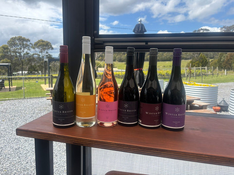 Valleybrook Wine on Wheels Tours-朗塞斯顿必去景点