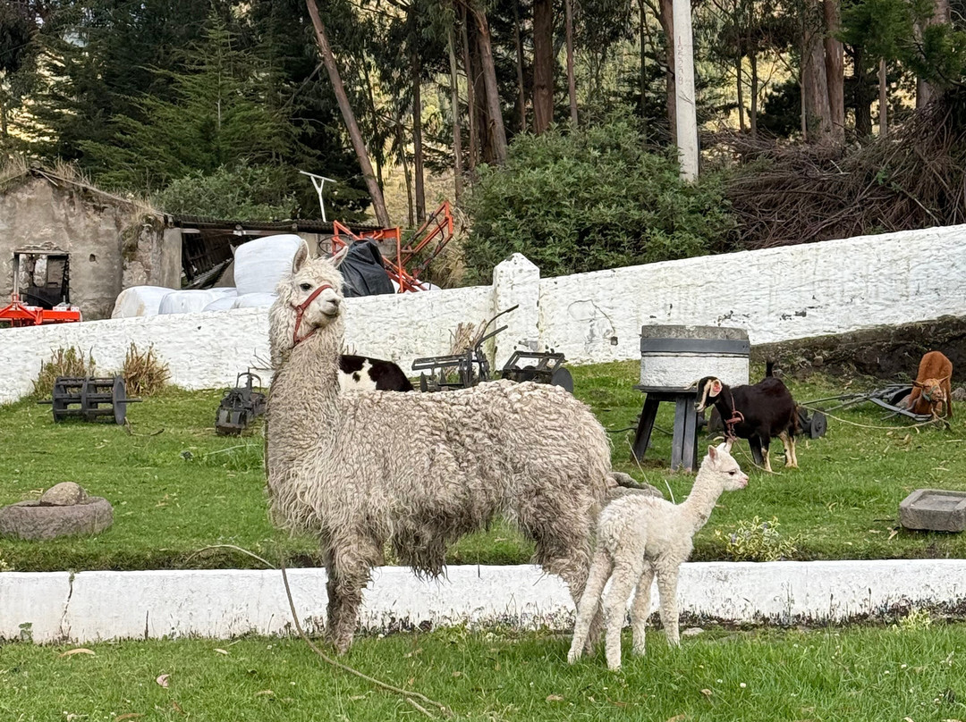 Posada De Tigua主图