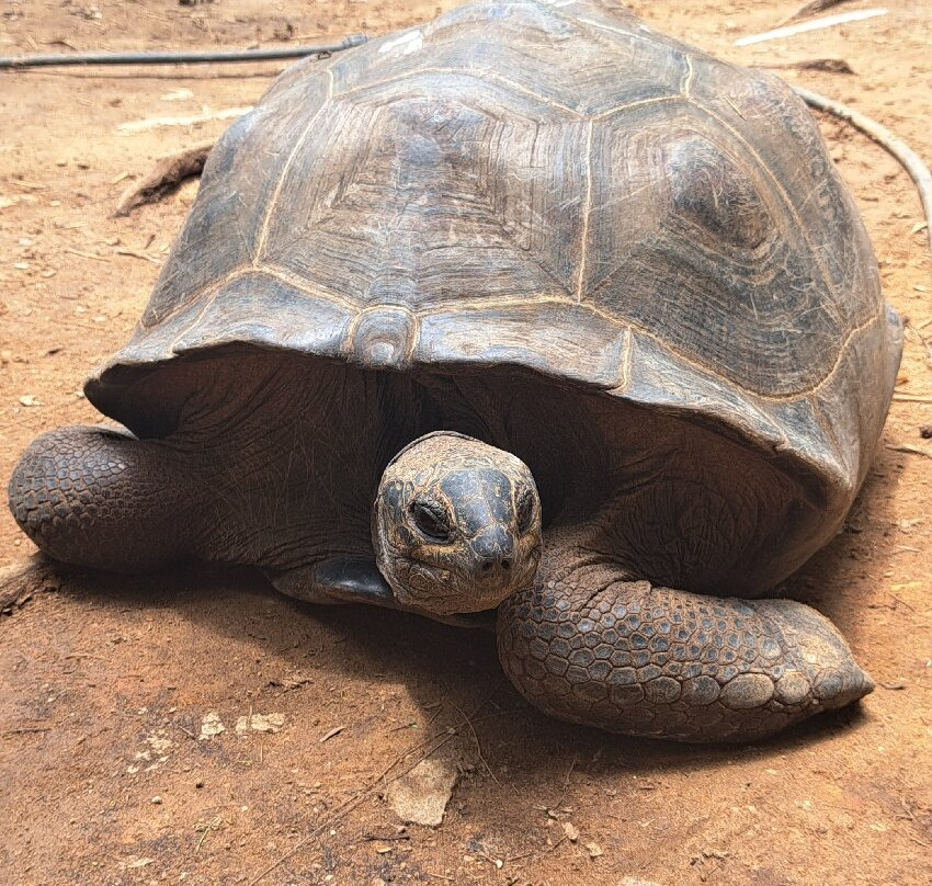 Moyenne Island-马埃岛必去景点