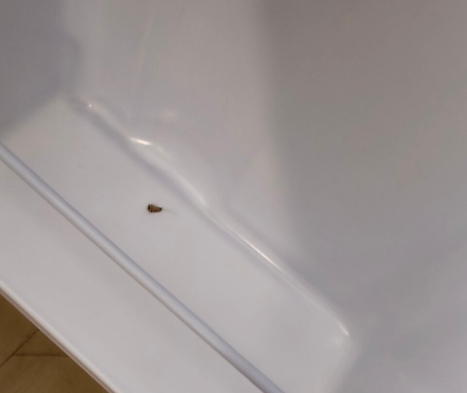 Red Roof Inn Laredo主图