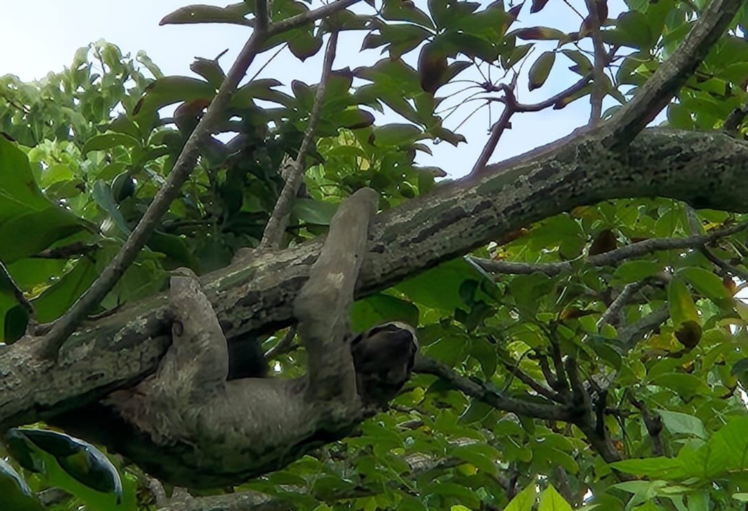 Reserva Natural Sanguare-Rincon del Mar必去景点