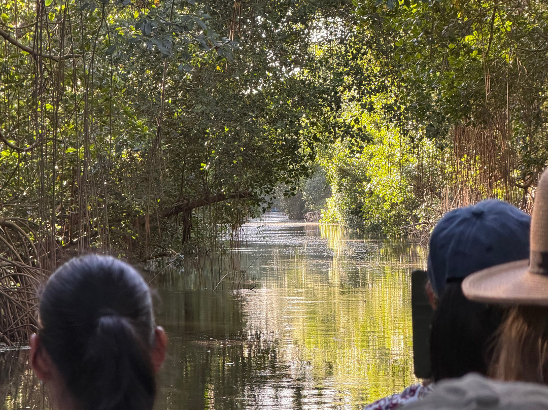 Caroni Swamp-St. Ann's必去景点