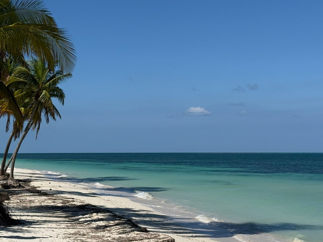 Cayo Levisa-Pinar del Rio Province必去景点