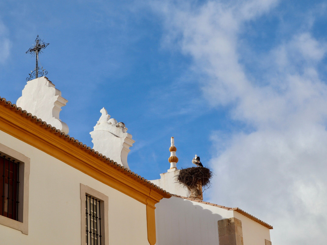 Igreja de Nossa Senhora da Conceicao-波尔蒂芒必去景点