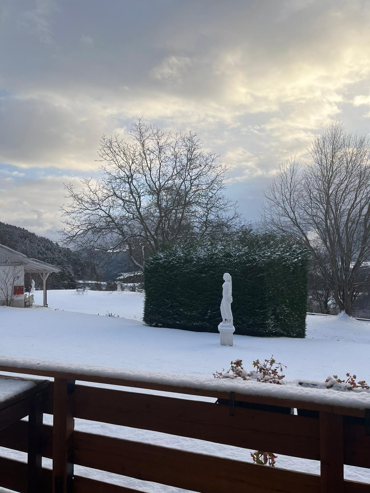 维塞赫夫绿色酒店-官方