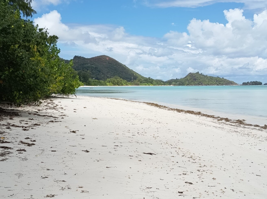 Anse Volbert-普拉兰岛必去景点