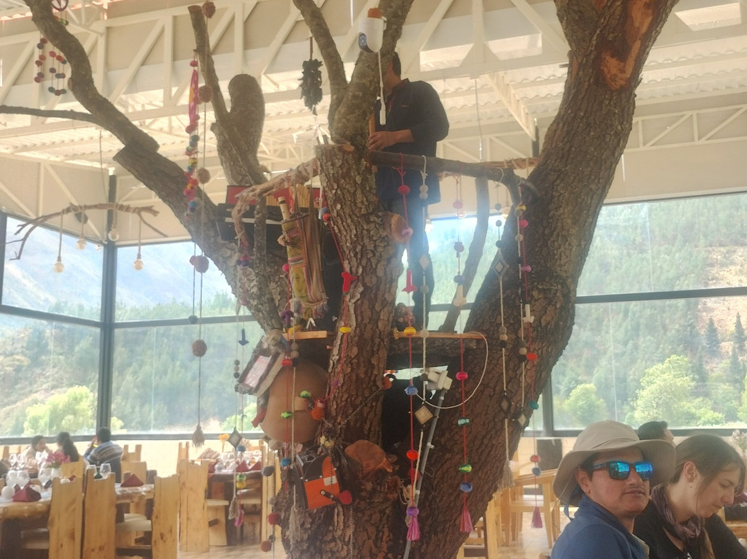 Qempo Experiencia ANDINA-Cusipata必去景点