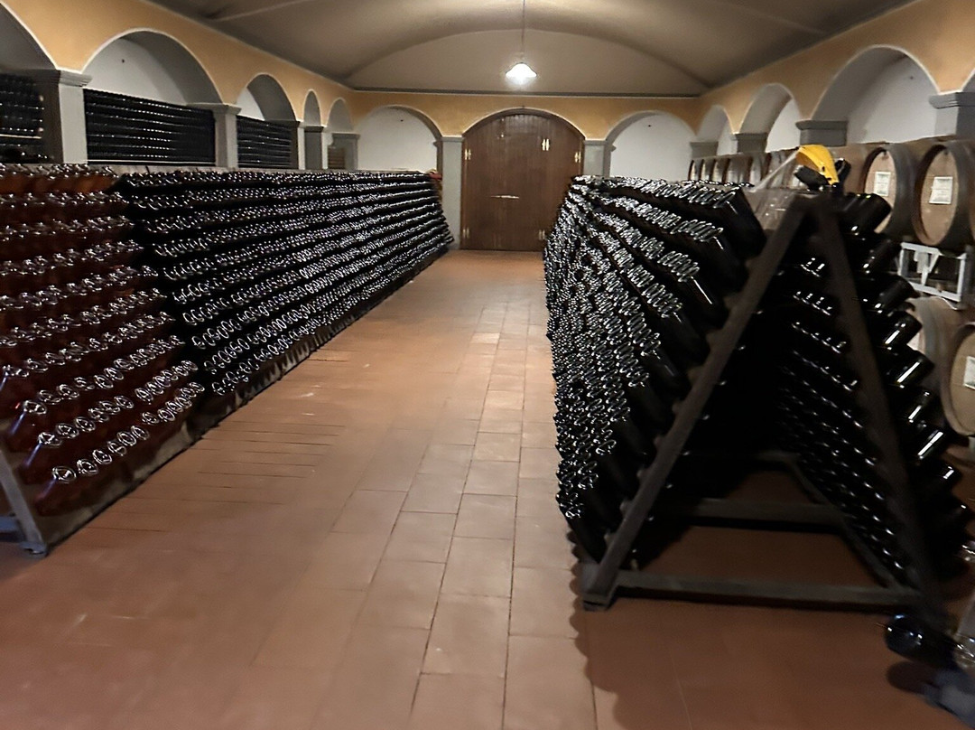 Cantina Tallarini | Tallarini Winery-Gandosso必去景点